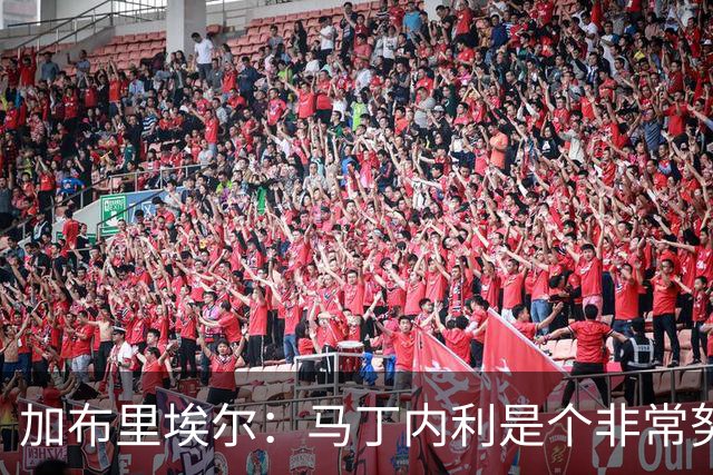 加布里埃尔：马丁内利是个非常努力的年轻人，他有能力决定比赛