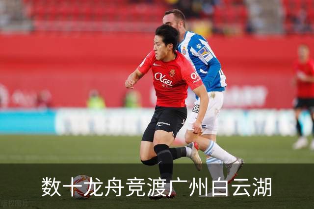 数十龙舟竞渡广州白云湖