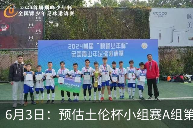 6月3日：预估土伦杯小组赛A组第2轮，中国男足U19，民主刚果U23，中国赢